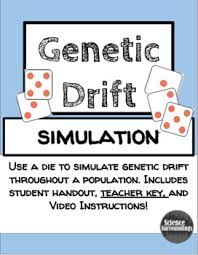 Discover what happens when random events meet allele frequencies: Genetic Drift Worksheets Teaching Resources Teachers Pay Teachers