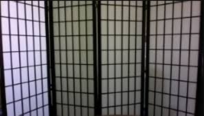 Shoji screen materials and construction. This Is My Library Professor S Background On Zoom I Thought I Was Being Taught By Sykkuno Offlinetv