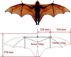 Learns to autonomously perform new tasks. Design Aerodynamic Analysis And Test Flight Of A Bat Inspired Tailless Flapping Wing Unmanned Aerial Vehicle Sciencedirect