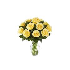 Oct 02, 2017 · ***in lieu of flowers a memorial fund has been established by the family.please send cards and memorials to:gary klett1300 290th st.everly, iowa 51338 mildred martena klett, the daughter of marten and anna (bleeker) roskens, was born july 15, 1922 on the family farm north of everly. Dozen Yellow Rose Vase Ames Ia