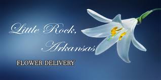 Visit clearwater marine aquarium, florida's marine life rescue center and home to winter the dolphin and other rescued dolphins, sea turtles and more! The 9 Best Options For Flower Delivery In Little Rock Arkansas 2021