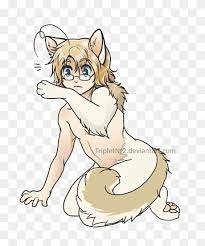Draw eyes, nose and cat's mouth, using the outline drawn in the previous step. Whiskers Cat Human Animal Hybrid Drawing Red Fox Cat Mammal Face Cat Like Mammal Png Pngwing