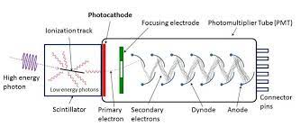 The photomultiplier tube also features fast time response and a choice of large photosensitive areas. Scintillation Light Detection Devices Read Out Scionix