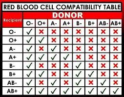 9 Basic Blood Type Compatibility Table