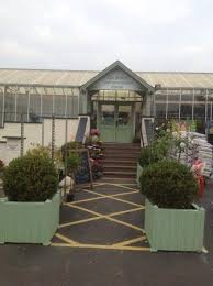 Palm Tree Cafe At De Beers Garden Centre Picture Of Palm Tree Cafe Kidderminster Tripadvisor