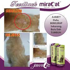 Cara buat ubat kurap kucing sendiri yang mudah, saya kongsikan 2 cara untuk buat ubat kurap kucing ini, yang pertama adalah lebih mudah dan cepat tapi tak. Ubat Kurap Kucing Posts Facebook