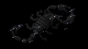 Fixed Star Antares Astrology King Constellations Constellation Tattoos Star Constellations