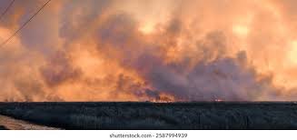 Image result for tbn:XVFRz-6Maj2JLM::www.jolmag.co.za/wildfire/images/Logos/vuvuzela_header.jpg