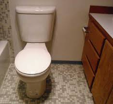 They have sent the parts to my door with simple installation instructions. My Toto Clogged Would A Pressure Assist Be Better Terry Love Plumbing Advice Remodel Diy Professional Forum