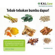 We did not find results for: Kalcare On Twitter Quiz Tebak Tebakan Bumbu Dapur Coba Sebutkan Nama Bumbu Dapur Ini Dalam Waktu 1 Menit Yg Bisa Mana Suaranyaaa Https T Co Is6vvlldnk