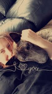 Tan pit bull Cross doggie, now in heaven. It was