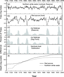 Training your staff to spot signs of a pest infestation should be at the forefront of your pest control policy. Dendrochronological Reconstruction Of Spruce Budworm Outbreaks In Northern Maine Usa