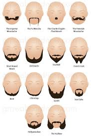 The buffalo wild wings, a.k.a. Pin On Beard Styles