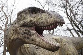 Tickets & logistics jurassic quest drive thru adventurers will need to buy tickets in advance online at www.jurassicquest.com. Dino Quest At The Louisville Zoo Louisville Family Fun