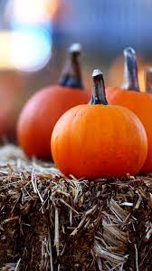 Pin By Sophie Stevens On Backgrounds Pumpkin Wallpaper Pumpkin Iphone Wallpaper Fall