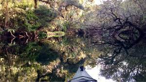 Hillsborough river state park kayaking. Florida S Best Kayaking Places Hillsborough River State Park Zephyrhills Tampa Youtube