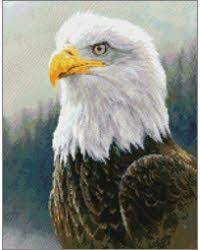 117 wide x 68 high • approximate size on 14 count aida: Bald Eagle By Kustom Krafts Pinterest Cross Stitch Cross Stitch Patterns Cross Stitch