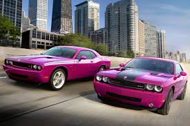 Image result for Furious Fuchsia 2010 Challenger