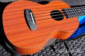 The grout in one joint of my floor tile has come out. Enya Euc X1m Concert Ukulele Review