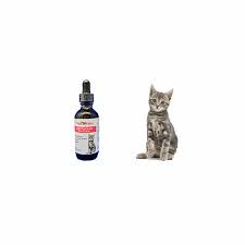 Pet owners prefer liquid glucosamine for dogs, cats, and other pets because it offers relief from joint pain and stiffness associated with arthritis. Glucosamine For Cats Pet Provite Liquid Supplements