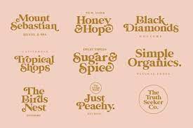 Modern or vintage if you are going Glamour Absolute Vintage Font By Nicky Laatz