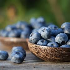 Cats can be addicted to tuna, whether it's packed for cats or for humans. Can Cats Eat Blueberries