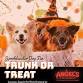 Trunk or Treat Adoption Event — Coco's Heart Dog event image