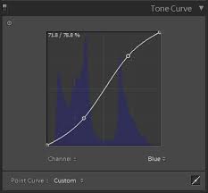 Doing this has frequently helped solve issues for me, as more often than not, there's an update available. How To Adjust Image Tone And Color And Work In Grayscale In Lightroom Classic