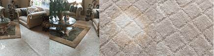 Carpet is every economical, and costs are far less than some hard surface products. Www Carpetologist Com