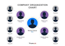 029 Template Ideas Organizational Chart Ppt Free Org