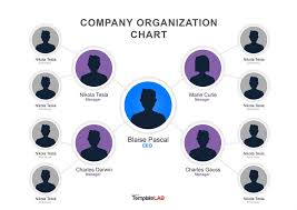 029 template ideas organizational chart ppt free org