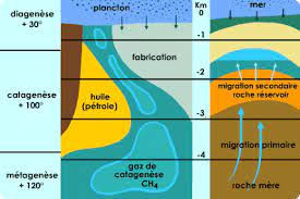 C'est la forme de gaz naturel la plus couramment exploitée. Le Gaz Naturel Economie D Energie