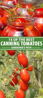 Bring to a boil over high. 15 Of The Best Canning Tomatoes You Should Grow Gardener S Path
