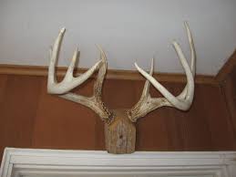 Smaller deer stands can be thoroughly designed and explained in free tutorials too and gardenplansfree.com surely has a great showcase on that subject with the following guide, epicly designed in 3d, possibly in google sketchup, all colored coordinated. How To Mount Shed Antlers Google Search Shed Antlers Antler Lights Antlers