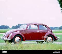 Image result for Medium Brown 1950 Beetle