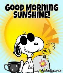 Morning is a difficult time of the day, because you need to get out of bed, get out of your comfort zone. Good Morning Sunshine Snoopy Sitting On The Ground Wearing Sunglasses Next To A Rock Where Woodstock Is Funny Good Morning Memes Snoopy Funny Morning Memes