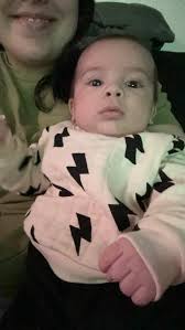 David's favorite rose image #738