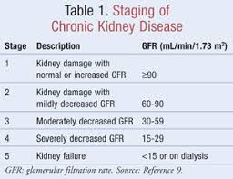 Our renal health care professionals strive to improve the lives of people with, or at risk for, end stage renal disease by promoting and advancing quality care. Chronic Kidney Disease And Hypertension A Destructive Combination