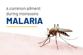 Image result for Malaria
