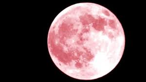 While it is called a strawberry moon. Strawberry Moon Lunar Eclipse Of 2020 Occurs Friday International Observerbd Com