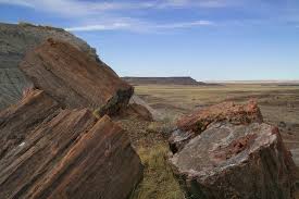 What Is Petrified Wood How Does It Form Petrified Forest National Park Petrified Wood Desert Painting