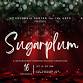 Sugarplum: A Nutcracker-Inspired Holiday Showcase event image