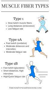 Muscle Fiber Type Comparison More At Friendsfitnessfreedom Com Types Of Muscles Muscle Hypertrophy Muscle
