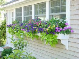 We did not find results for: Charm Up Your House With Windowboxes