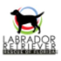 Maybe you would like to learn more about one of these? Labrador Retriever Rescue Of Florida Inc Linkedin