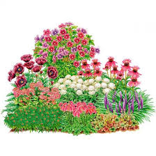 Sortiment Geheimnisvolle Stauden Von Gartner Potschke Stauden Staudenbeet Anlegen Staudenbeet