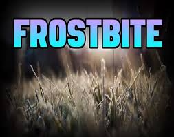 How likely are you to get frostbite when it's cold outside? How Long Does It Take To Get Frostbite B104 Wbwn Fm