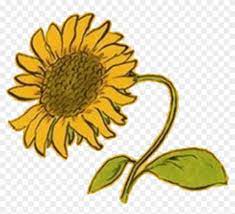 Maybe you would like to learn more about one of these? Aesthetic Clipart Random Png Aesthetic Yellow Flower Transparent Png 1733051 Pikpng