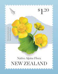 Nz Native Alpine Flora On Behance Stamp Botanical Design Flora Nativity Alpine Plants