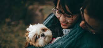 Read on for some hilarious trivia questions that will make your brain and your funny bone work overtime. 84 Best Animal Trivia Questions And Answers For Everyone